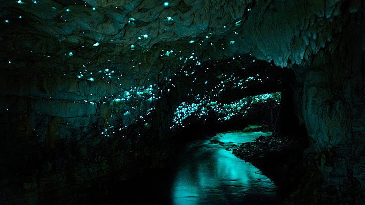 Waitomo Glow Worm Cave New Zealand