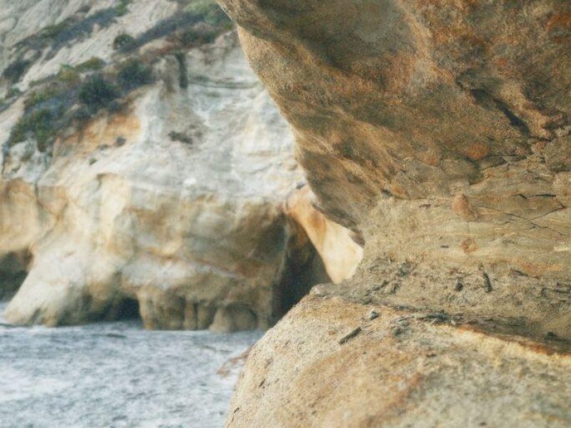 are-cave-salamanders- poisonous