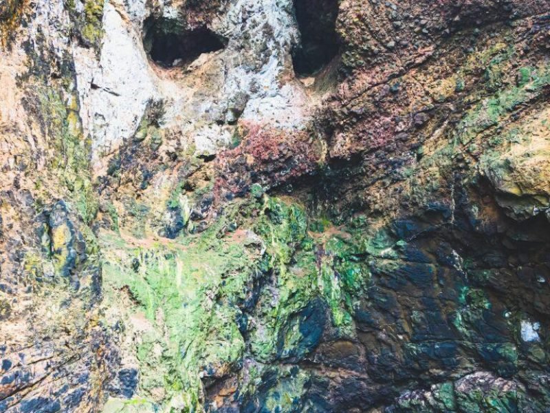 are-caves-a-biome