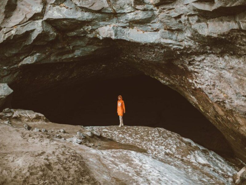 can-cave-spiders- climb-fences