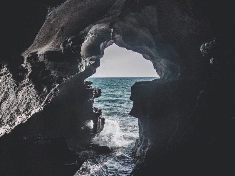 how-cave-ecosystem