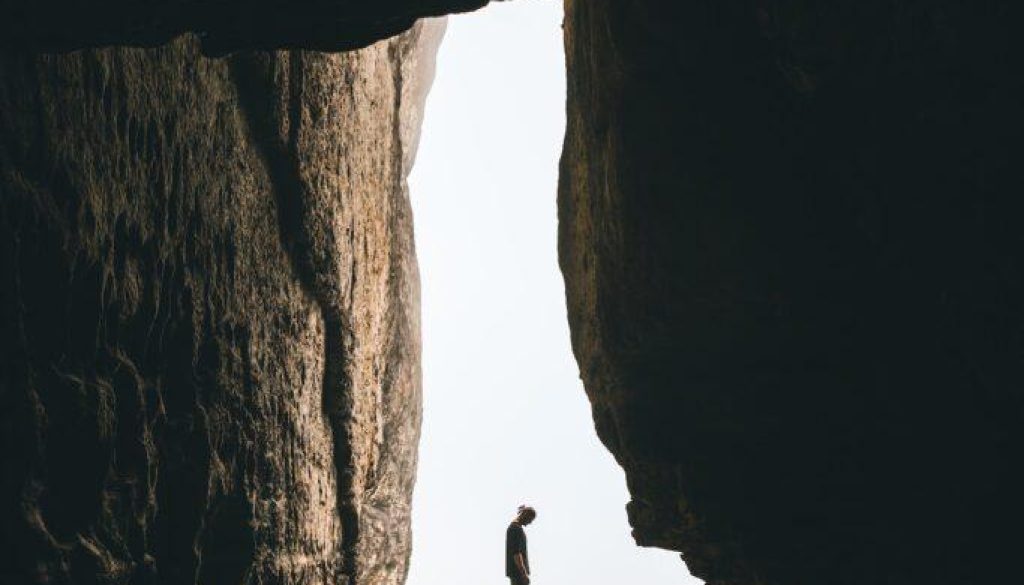 how-many-cave-salamanders-are-left