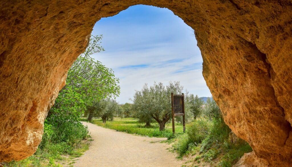 how-many-caves-are-in-sons-of-the-forest