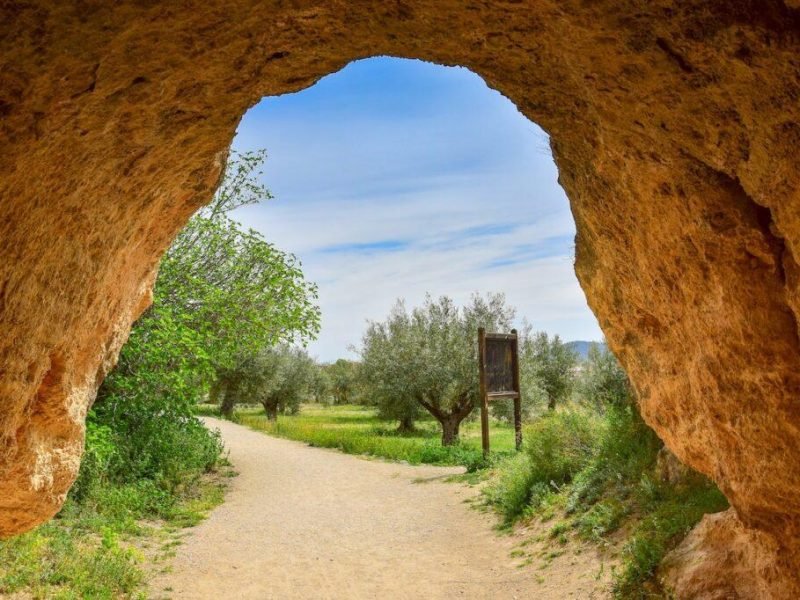 how-many-caves-are-in-sons-of-the-forest