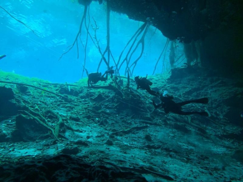 how-often-do-cave-divers-die