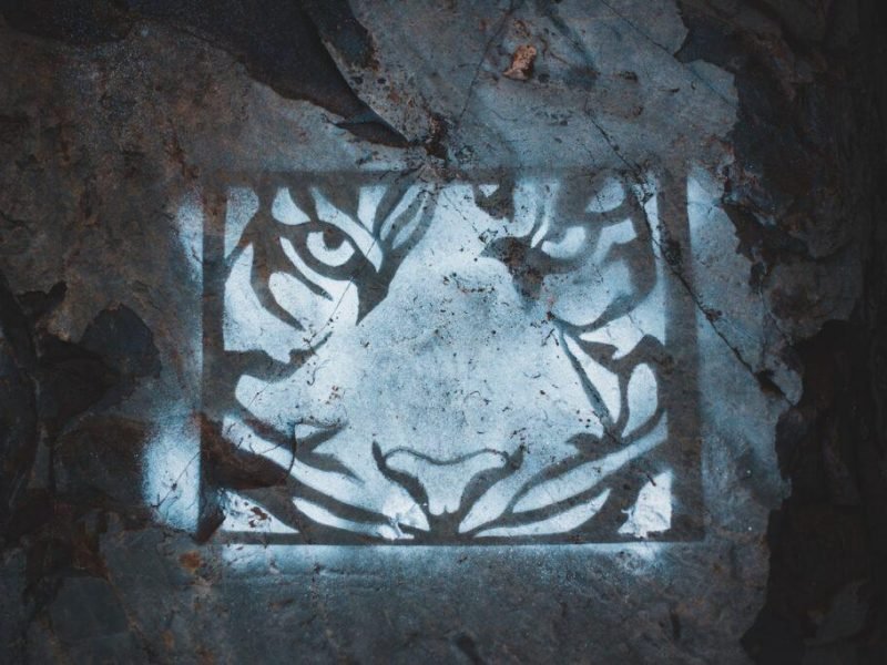 who-cave-paintings
