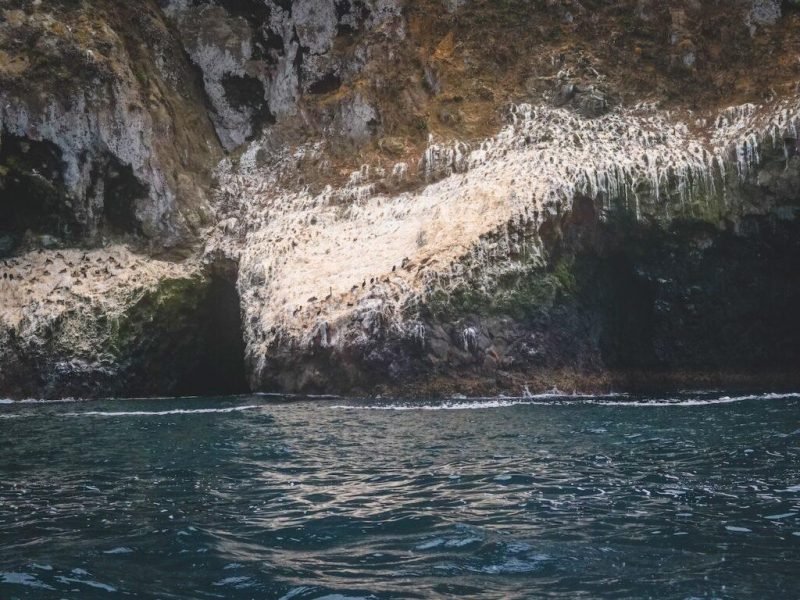 why-caves-are- important