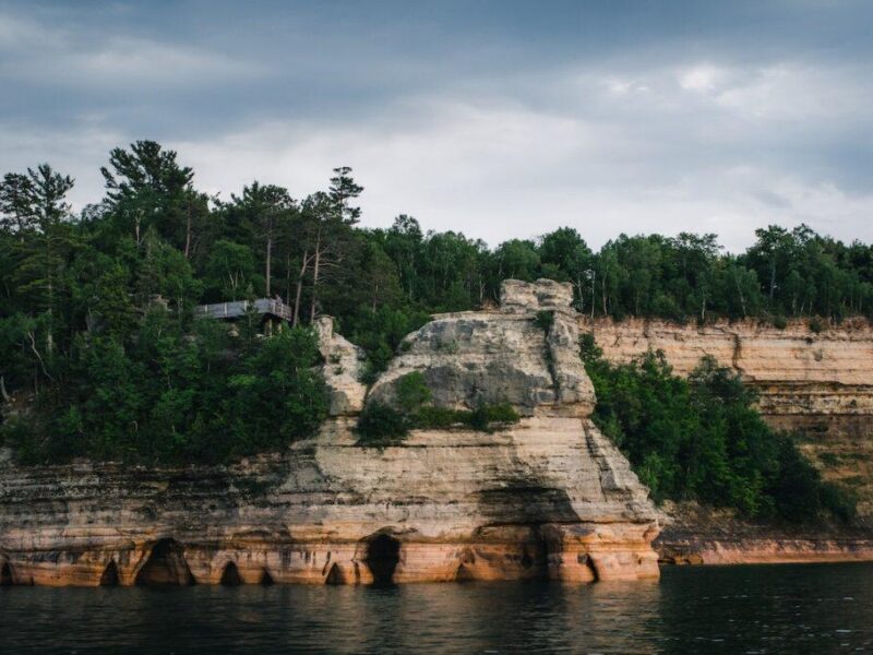 how-many-caves-are-in-the-forest